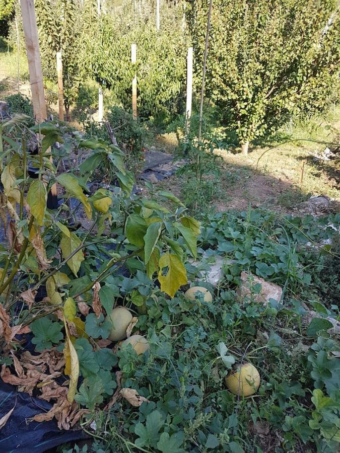 חורפטו Holiday Home Dionysis מראה חיצוני תמונה
