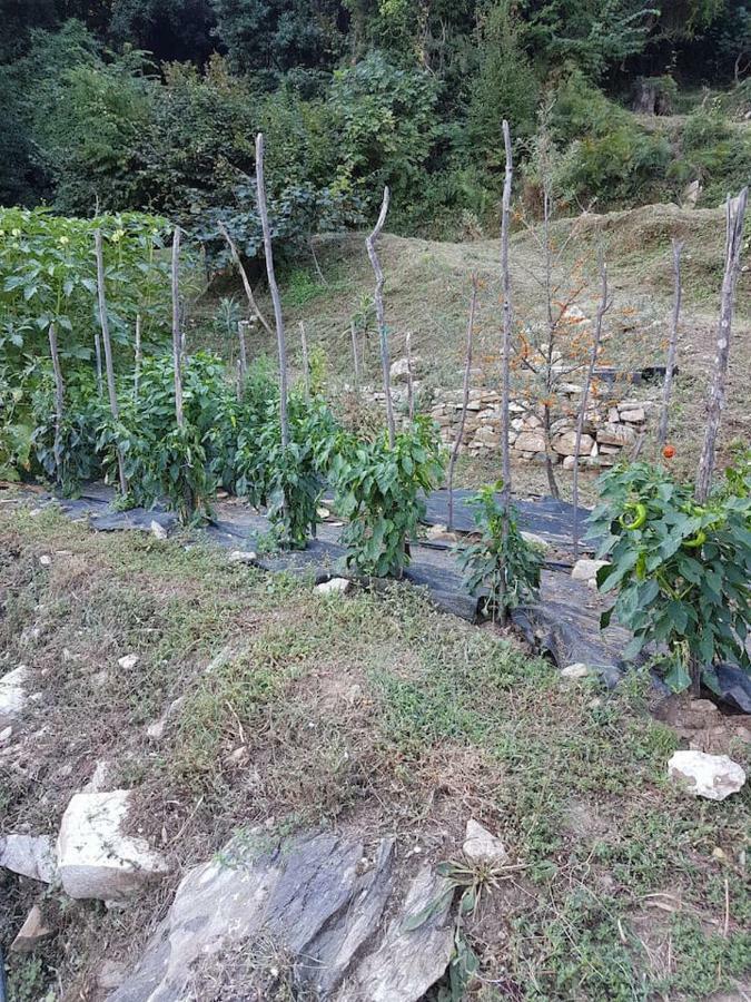 חורפטו Holiday Home Dionysis מראה חיצוני תמונה